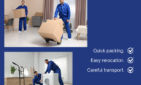 movers in al nahda dubai